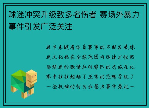 球迷冲突升级致多名伤者 赛场外暴力事件引发广泛关注