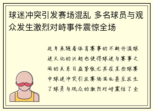 球迷冲突引发赛场混乱 多名球员与观众发生激烈对峙事件震惊全场